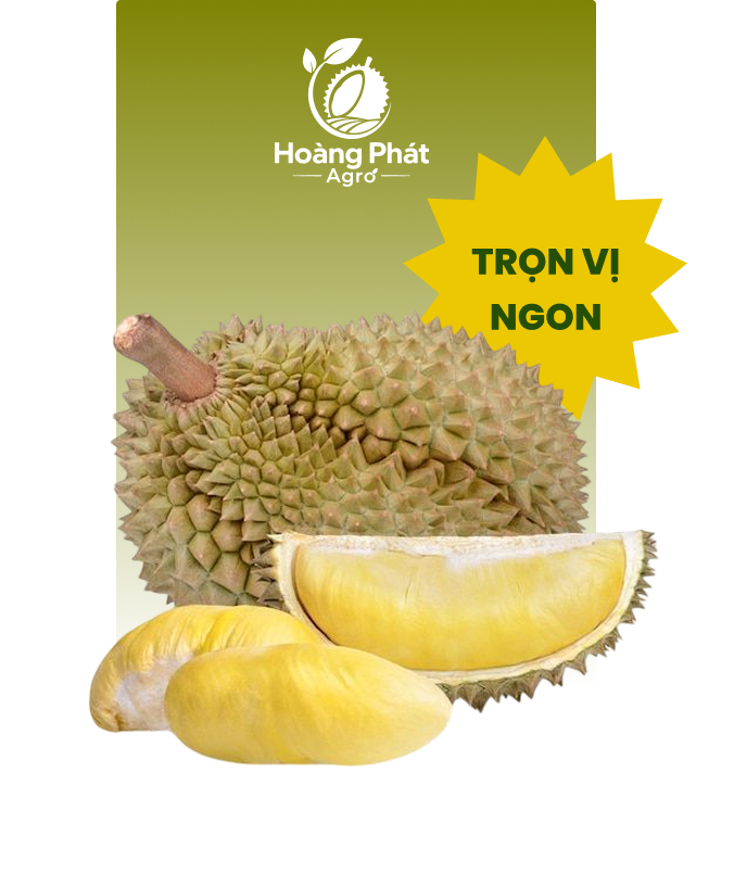 Hoàng phát agro